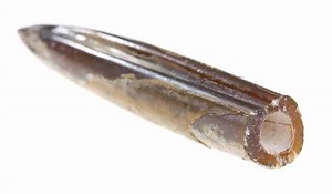 Delaware Rockhounding Location Guide & Map