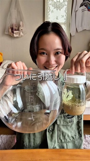 海ぶどうの新しいお家 #栽培 #海ぶどう