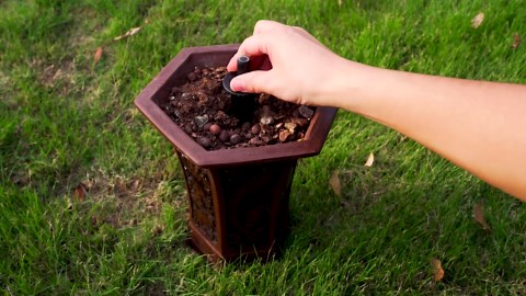 Vakoo Springform Pan - Nonstick, Leakproof Cheesecake Pan for Baking, Easy Release, No Parchment Paper Needed, 4+7+9 Inch, Set of 3