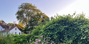 Start Your Garden from Scratch: A Beginner’s Step-by-Step Workshop