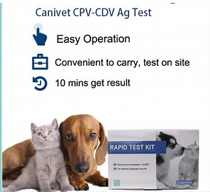 [Hot Item] Canine Distemper Parvo Virus Antigen Combo Rapid Test