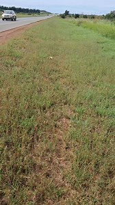 #"NKA LEBALA JWANG LEFELO LE" | Les Mpete