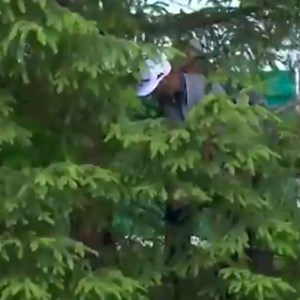 Watch Dustin Johnson hit the strangest cartpath-aided shot you'll ever see