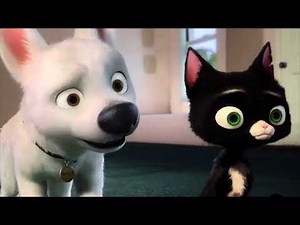 Animash Good Feeling