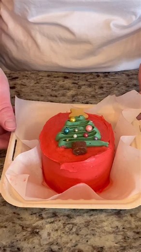 Melissa Newman - CakesByMelle on Instagram: "Bento cakes, lunchbox cakes! Darling single serving cakes made up for the holidays! Which one is your favorite? @cakesbymelle #cake #cakes #christmas #christmastime #christmascake #cakeoftheday #cakeboss #instagood #food #dessert #instafood #utahcakes #cakedecorating #reels #cakecake #merrychristmas #happyholidays"