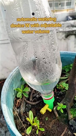 Automatic Watering Device for Home and Office Plants