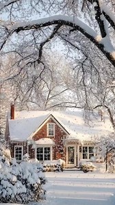 40K views · 2.6K reactions | Relaxing  . . . . #cozy #lights #snow #snowfall #winter #wintervibe #winterevenings #astheticsongs | Winter vibe | Facebook