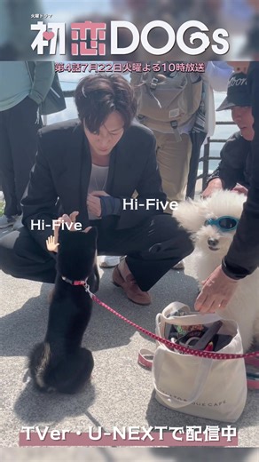 火曜ドラマ『初恋DOGs』撮影の裏側