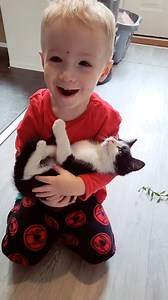 1.9K views · 194 reactions | Awww so cute babies 殺殺殺殺殺 | Love Cats &Meow Meow | Facebook