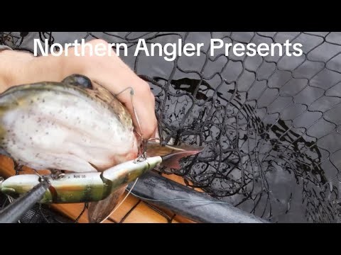 Kayak Fishing Northern Pike #fishing #pike #canada #kayakfishing #berkley #fall #freshwaterfish