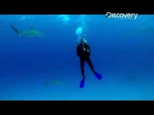 MythBusters - That "Uh-Oh" Feeling