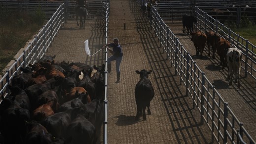 Forget tariff wars: The EU and Mercosur build one of the world's biggest free-trade zones