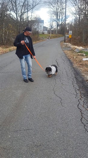 Danny Sullivan on Reels