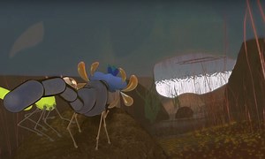 Take A Psychedelic Trip With A Dragonfly In Tame Impala’s ‘Breathe Deeper’ Video