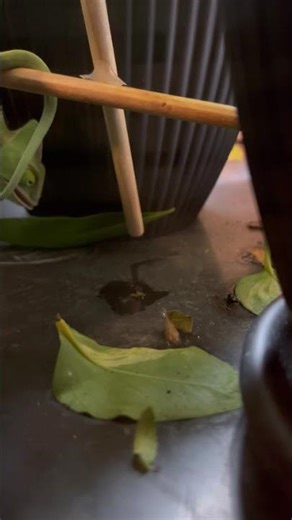 Chameleon vs mealworm #chameleon #lizard #pet #live #livestream #viral #roblox #meme #shorts #short