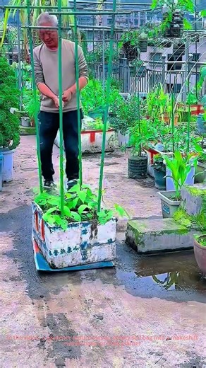 DIY Garden Cart! Repurposed Soil Bag as a Mobile Planter