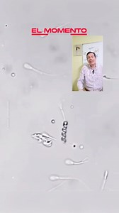 ✅Los avances en la nanoelectrónica - los robots esperma⚡ #ingenieriaelectronica #nanobot #microelectronica #nanoelectronica #esparmatozoide #campomagnetico #MuyInteresante #campoelectrico #bobina #magnetismo #ciencia | Juan Bautista Chávez