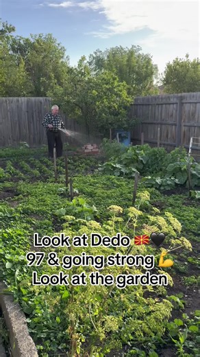 Dedo from Macedonia: 97 & Going Strong - A Heartwarming Look at the Garden