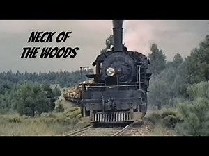 Southwest Lumber Mills 2-6-6-2 Steam Locomotive