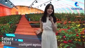 7.9K views · 272 reactions | The on-going 2022 China International Fair for Trade in Services (CIFTIS) in Beijing is displaying a digitalized lifestyle characterized by the smart city, metaverse and intelligent driving. A Xinhua correspondent offers you a glimpse | China Xinhua Sci-Tech | Facebook
