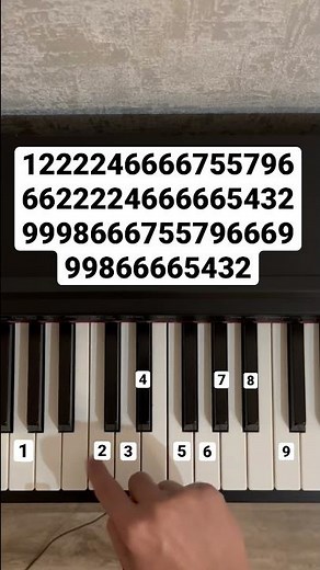 Wellerman - Nathan Evans (tutorial)