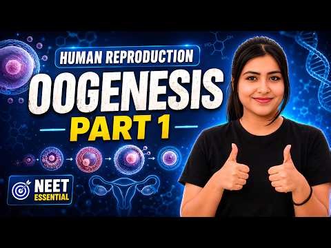 Oogenesis Made Easy | Follicular Development Explained | Human Reproduction NEET