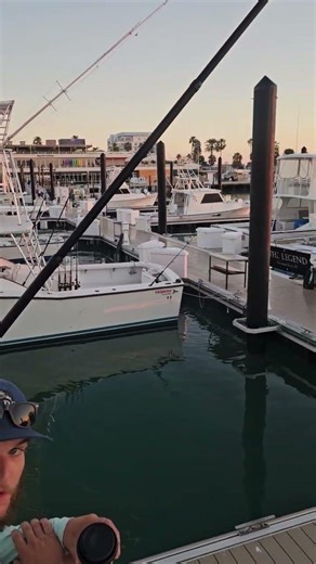 All dressed up and nowhere to go! #saltwaterfix #fishingcharters #reeldeal