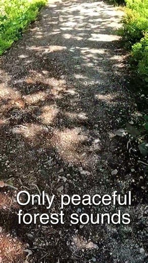 Nobody Told Me About This Hidden Lake in Norway 🤫