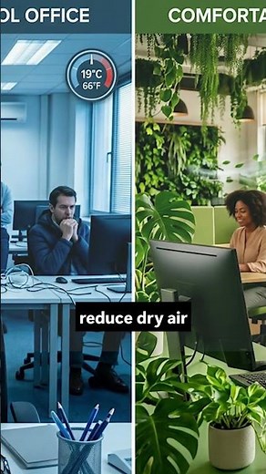 Smart Greenery Explained: How Indoor & Outdoor Plants Can Save Energy