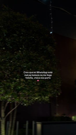 #fyppppppppppppppppppppppp #foruyou | creo que mi whatsapp anda mal