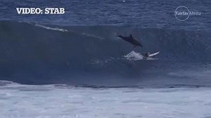 16K views · 210 reactions | #Watch: Incredible footage has emerged of the moment a young Australian surf champion was struck by a leaping dolphin while surfing in Western Australia. | Stuff | Facebook