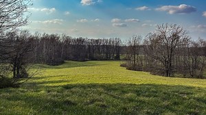 Cattle Farm/Hunting Property With Building Opportunities | Whitetail Properties