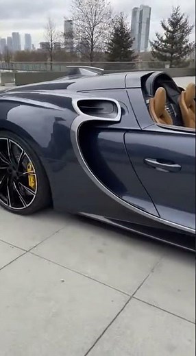 Bugatti W16 Mistral Roadster First-Person View 📱