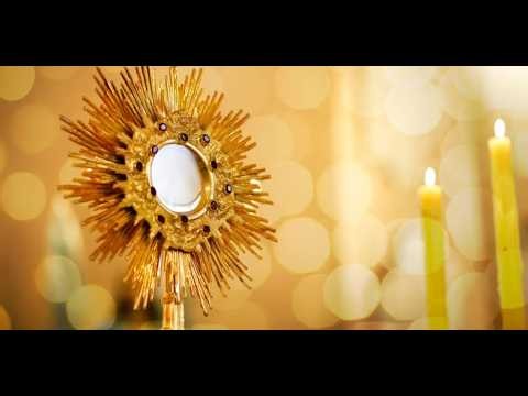 അല്പസമയം പരിശുദ്ധ കുർബ്ബാനയെ ആരാധിക്കാം 🔴 Eucharistic Adoration 🔴 LIVE || Let us Pray
