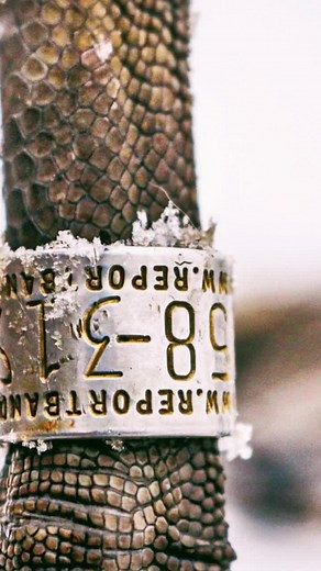 Hunter Dillon (@the_hunterdillon)’s videos with original sound - Hunter Dillon