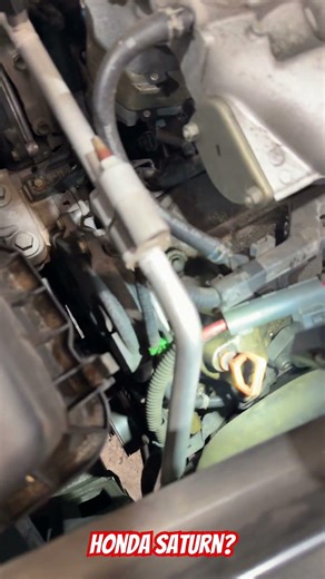 Saturn vue used Honda engines for a while. Shorted Alternator