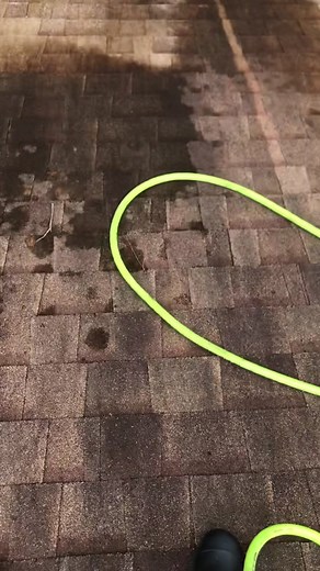 Shingle roof cleaning #pressurewashing #chlorine #softwashing