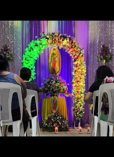 Videos de crazy_cat.com (@crazy_cat.com) con “sonido original - crazy_cat.com”