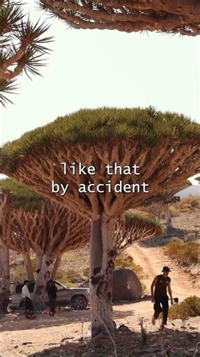 The most ALIEN place on earth 👽(Socotra, Yemen)