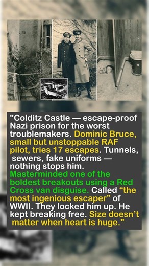 British Pilot Escaped 17 Times from Colditz! 🔥 WW2 Legend #history #giveusourstolenmoneyback #ww2