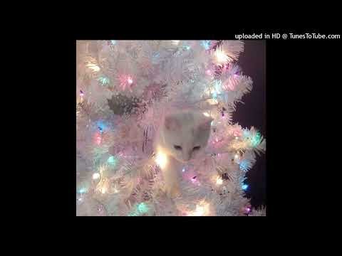 the box - Roddie Richh clean