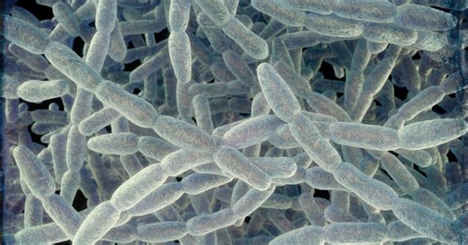 Oakland County officials report Legionella bacteria at 2 more buildings