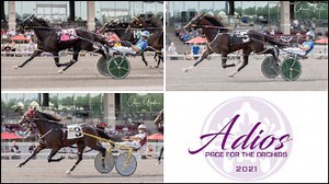 2021 Adios Eliminations Complete