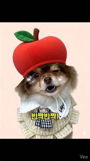 🍎🍏 같은 내 얼굴~