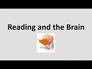READING AND THE BRAIN: THE 3 CUEING SYSTEMS