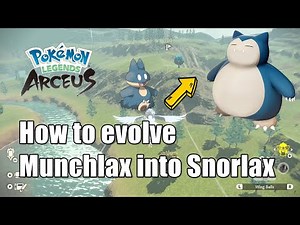 How to evolve Munchlax into Snorlax in Pokémon Legends Arceus