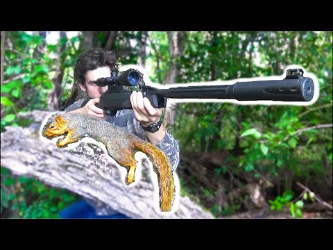 Squirrel Hunting with .22 Break Barrel Air Rifle!