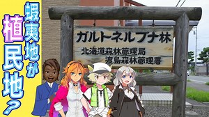 【ガルトネル開墾条約事件】某国「日本ノ土地ヲ所有シマース☆」観てはいけません...歴史観が変わってしまうから［絆星あかり解説］［白上虎太郎解説］