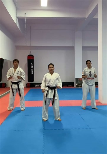 Karate Techniques with Senpai in Romania
