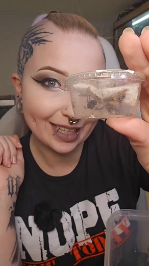 98K views · 2.1K reactions | Eine neue schwarze Witwe bedeutet, ein...